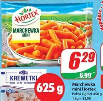 Dino Marchewka mini hortex oferta