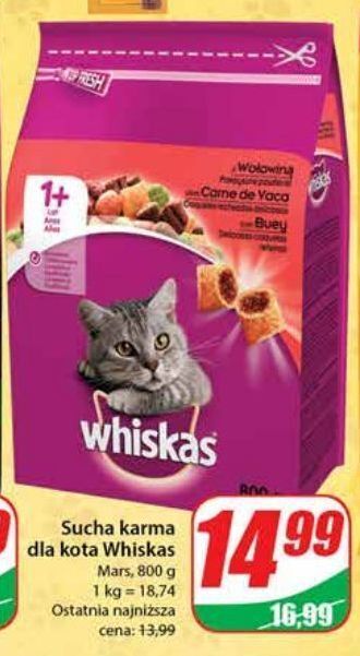Dino Karma dla kota z wołowiną whiskas oferta