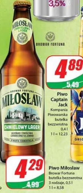 Dino Piwo miłosław chmielowy lager oferta