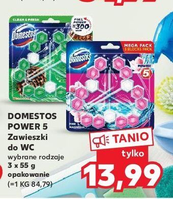 Kaufland Kostka do wc pink magnolia domestos power5 oferta