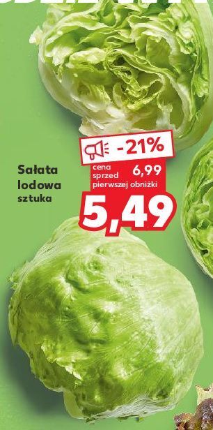 Sałata lodowa