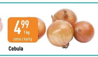 E.Leclerc Cebula oferta