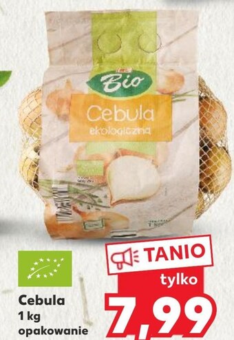 Kaufland Cebula oferta
