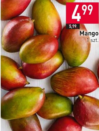 Stokrotka Mango oferta