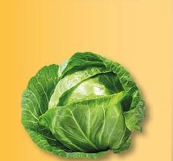 Chata Polska Kapusta młoda oferta