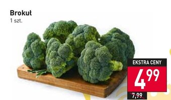 Stokrotka Brokuł oferta