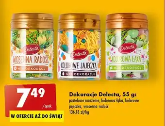 Biedronka Dekoracja kolorowa łąka oferta