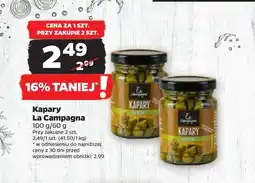Netto Kapary oferta
