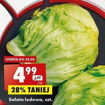 Biedronka Sałata lodowa oferta