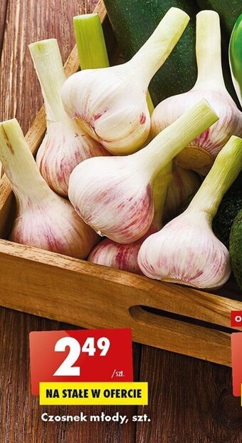 Biedronka Czosnek młody oferta