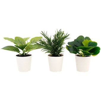 Action Sztuczna roślina z doniczką home accents oferta