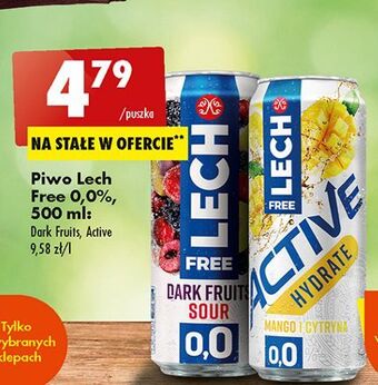 Biedronka Piwo lech free dark fruits sour oferta