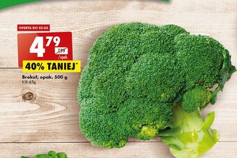 Biedronka Brokuł oferta