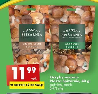 Grzyby leśne suszone nasza spiżarnia