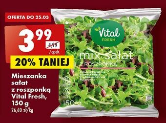 Biedronka Mix sałat z roszponką vital fresh oferta