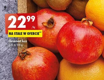 Biedronka Granat oferta
