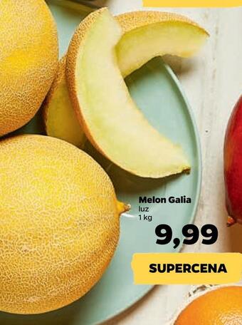 Netto Melon galia oferta