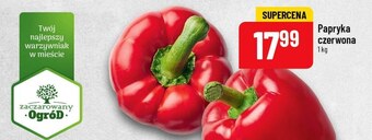 Polomarket Papryka oferta