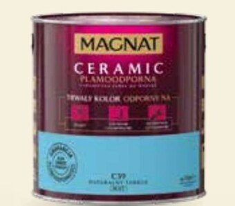 Bricomarche Farba magnat oferta