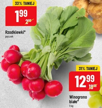 Polomarket Rzodkiewki oferta