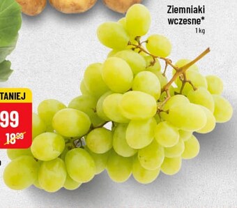 Polomarket Winogrona oferta