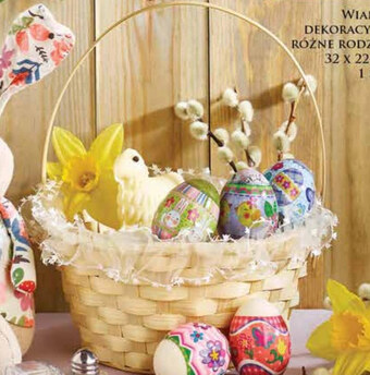 Dino Wianek dekoracyjny oferta