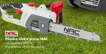 Mrówka Pilarka elektryczna nac oferta