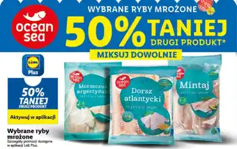 Lidl Ocean Sea wybrane ryby mrożone oferta