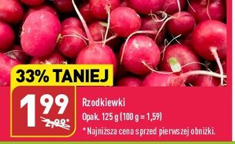 ALDI Rzodkiewka oferta