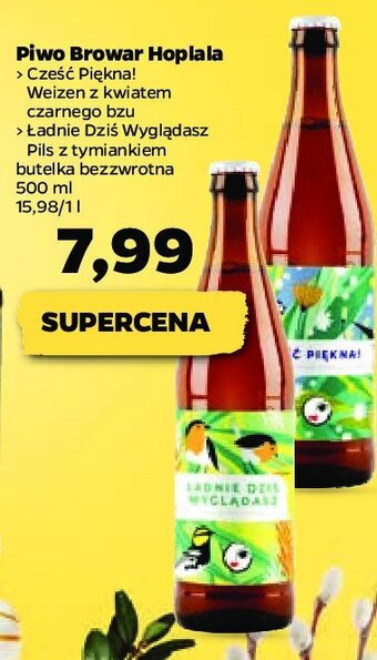 Netto Piwo oferta