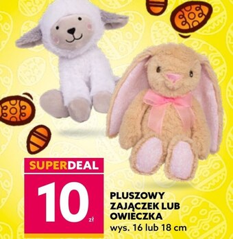 Dealz Pluszak oferta