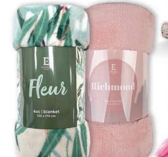 Intermarche Koc oferta