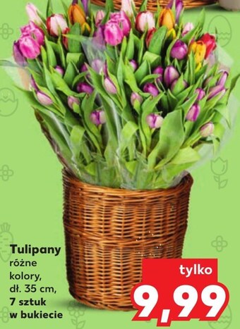 Bukiet tulipanów