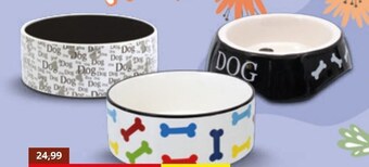Kakadu Miska dla psa dog fantasy oferta