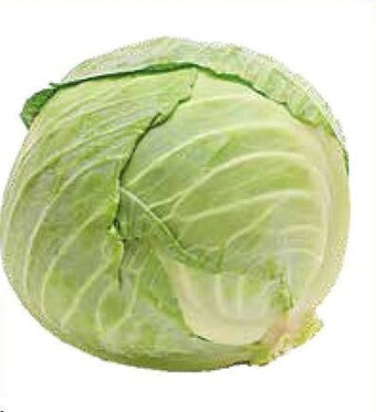 E.Leclerc Kapusta biała oferta