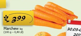 Marchew 1 kg