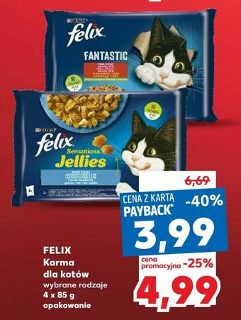 Kaufland FELIX Karma dla kotów oferta