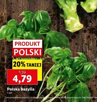 Lidl Polska bazylia oferta