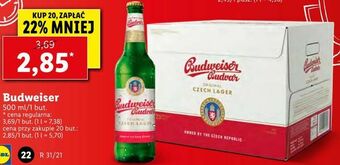 Lidl Budweiser oferta