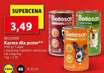 Lidl Karma dla psów oferta