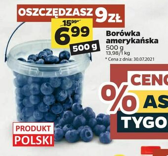 Netto Borówka amerykańska oferta