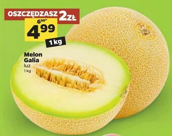 Netto Melon Galia oferta