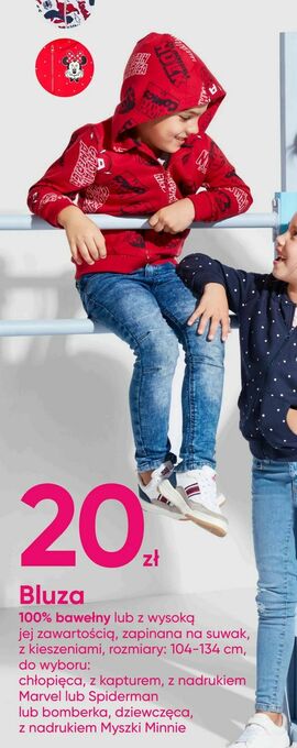 Pepco Bluza oferta