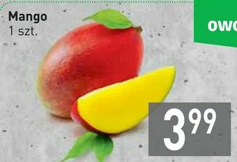 Stokrotka Mango oferta