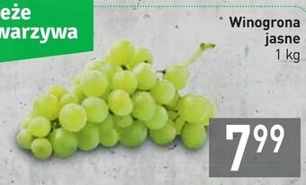 Stokrotka Winogrona jasne oferta