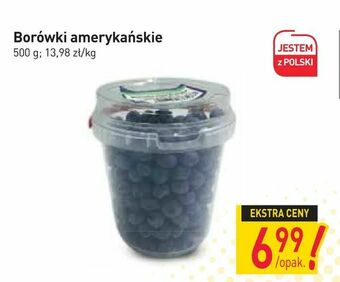 Stokrotka Borówki amerykańskie oferta