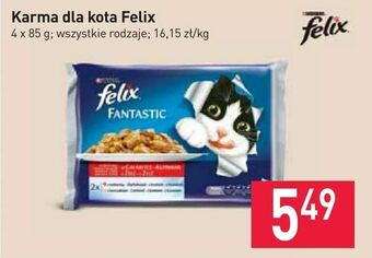 Stokrotka Karma dla kota Felix oferta
