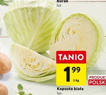 Intermarche Kapusta biała 1kg oferta