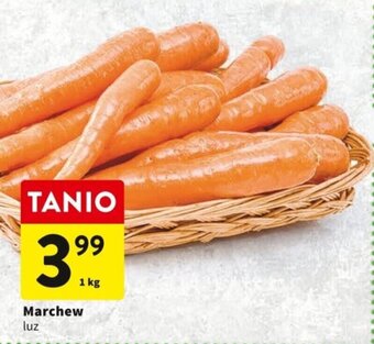 Intermarche Marchew 1kg oferta