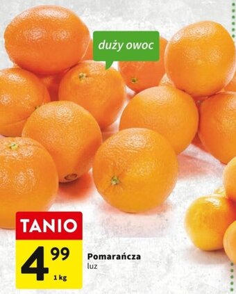 Intermarche Pomarańcza 1kg oferta